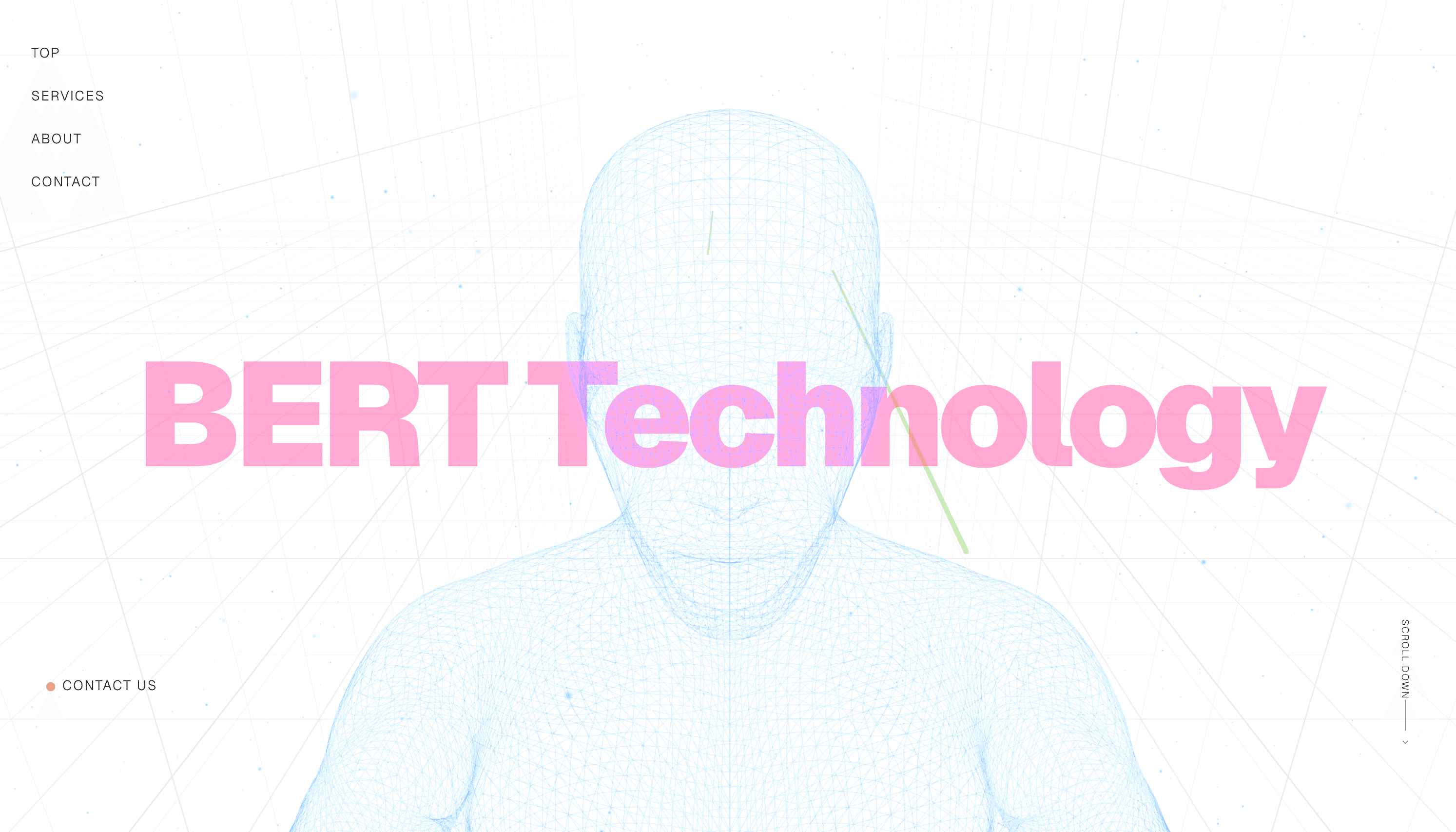 BERT Techonlogy llc.